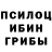 Галлюциногенные грибы Psilocybe Novachok game