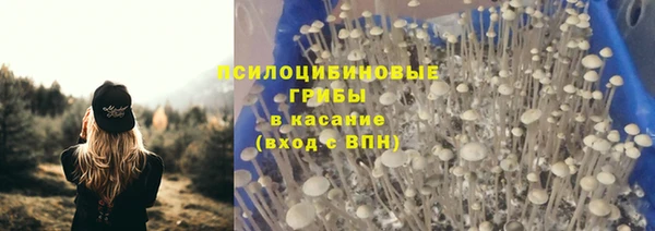 МДПВ Богородицк