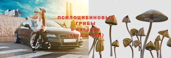 прущие крисы Богданович