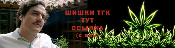молекула духа Белоозёрский