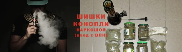 СК Богородск