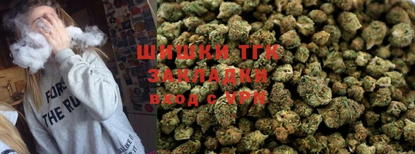 СК Богородск